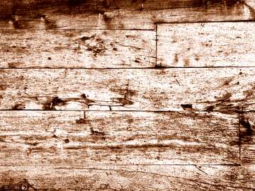 FX №18990 Monochrome. Texture of wood.