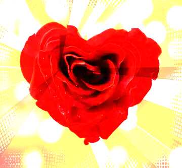 FX №180095  Rose heart Anniversary Background