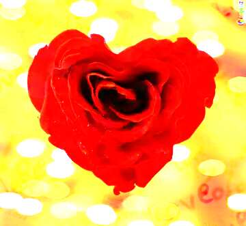 FX №180104  Rose heart lights background  love pattern
