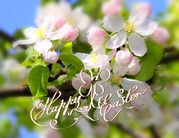 FX №181063 Apple trees in bloom Happy Easter