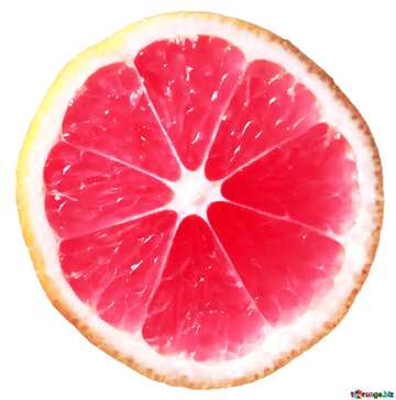 FX №181444 red citrus
