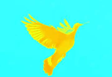 FX №181479  Dove peace
