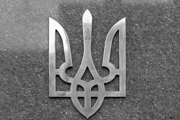 FX №181651 Monochrome Texture Arms Ukraine Background