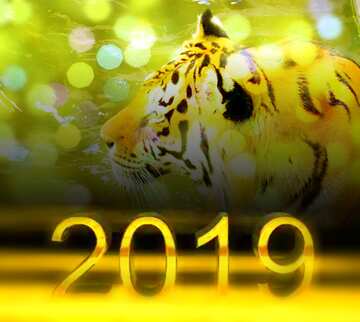 FX №182695 2019 3d render dark background Tiger