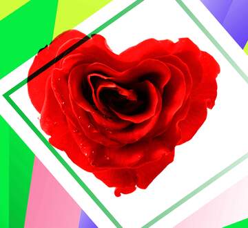 FX №182396 Rose heart frame  Art