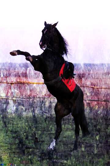 FX №183198 Horse on hind legs Gemstone overlay