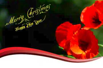 FX №183936 Merry Christmas card with  poppies flower