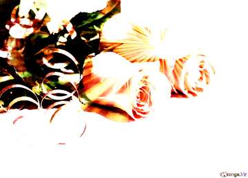 FX №183904 Rose flowers  rays sunlight Greeting Background