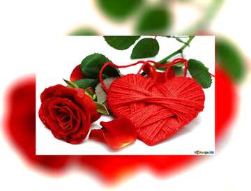 FX №184764 Heart flower rose red  fuzzy border