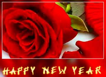 FX №184748 Heart flower rose happy new year