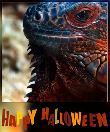 FX №185051 Iguana happy halloween