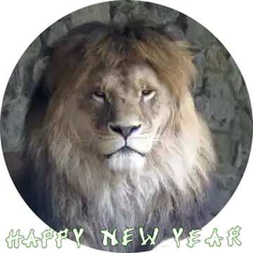 FX №185039 lion happy new year circle frame