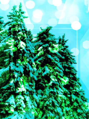 FX №185331 Snow  green pine tree  Snow gold digits   powerpoint website infographic template banner layout...