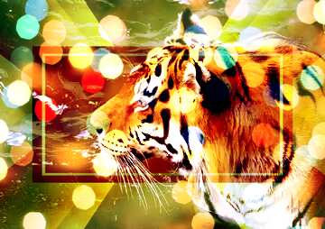 FX №186462  Beautiful tiger Bokeh Lights Background powerpoint website infographic template banner layout...