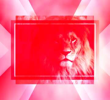 FX №186480  lion red fuzzy border powerpoint website infographic template banner layout design responsive...