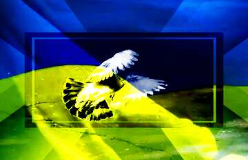 FX №186680  Pigeon flies Peace Ukrainian Background powerpoint website infographic template banner layout...