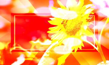FX №187889 Background with sunflower powerpoint website infographic template banner layout design responsive...