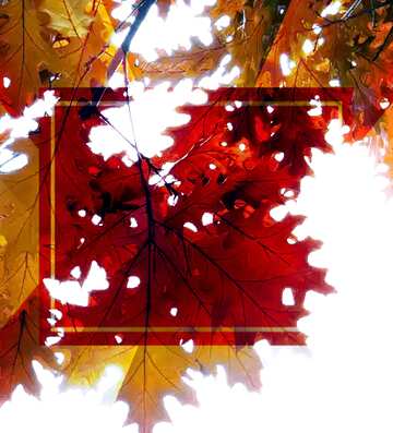 FX №188870 Autumn leaves frame background powerpoint website infographic template banner layout design...