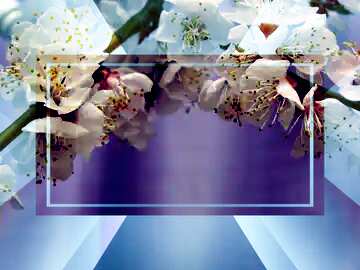 FX №188568  Spring blossoms Colorful card template frame on Background with Rays of sunlight powerpoint...