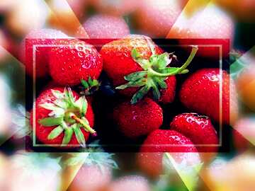 FX №189610  strawberries Texture Website Background powerpoint website infographic template banner layout...
