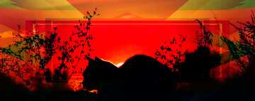 FX №191671  Cat on sunset banner Template