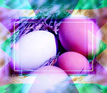 FX №191955 Eggs in the nest Template