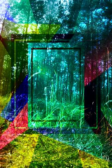 FX №192751 Sun in the grass in pine forest Colorful illustration template frame responsive