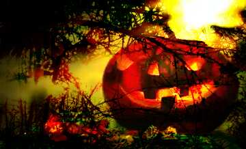 FX №193528 Halloween pumpkin on a sunset background Spooky forest