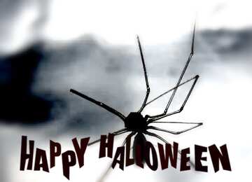 FX №193624 The dreaded dead Spider blur frame happy halloween