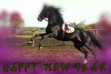 FX №193274 Jumping horse Happy New Year