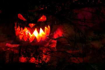FX №193573 spooky Halloween pumpkin  scary forest