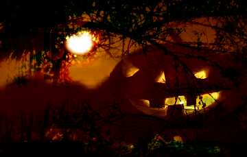 FX №193890 Halloween pumpkin in the background of the moon forest