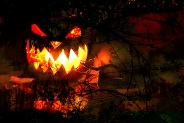 FX №193566 Light from pumpkin on Halloween Spooky forest