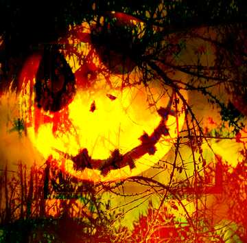 FX №193557 Halloween background with the Moon Spooky forest