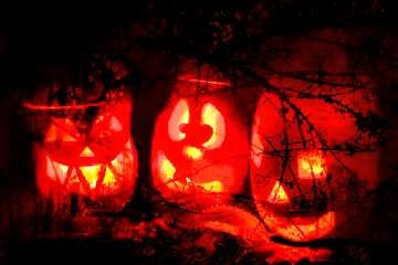 FX №194060  Pumpkins Scary Forest Halloween Light