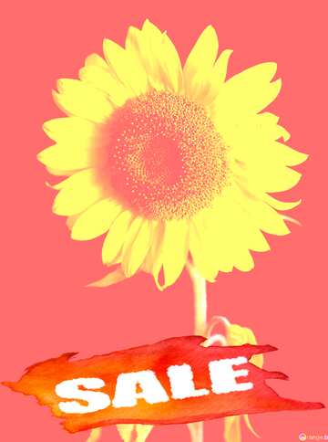 FX №195467 Summer Hot Sale background Frame Sunflower Flower