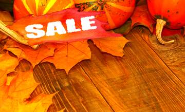 FX №195019 Autumn sale background with pumpkins on the table