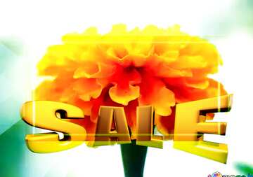 FX №198400  Sales promotion 3d Gold letters sale background Marigold Flower Template