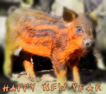 FX №198340 Real Pig Happy New Year