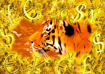 FX №199969  Gold money frame border 3d currency symbols business template Tiger Background