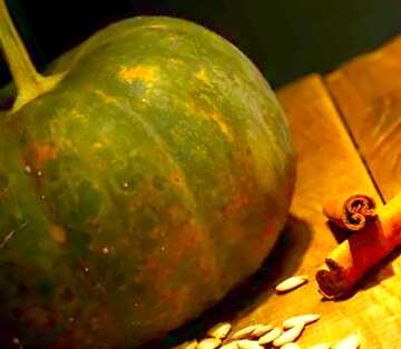 FX №2797 Image for profile picture Still life with pumpkin.