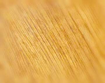 FX №20288 Image for profile picture Texture wood pattern.