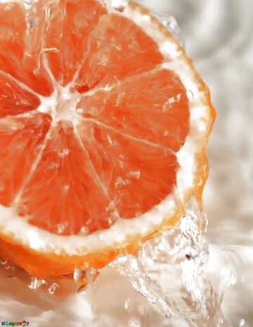 FX №20213 Orange color. Vitamin drink.