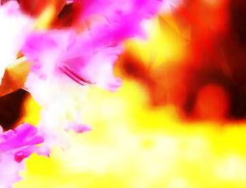 FX №200977 Wallpaper desktop flower of gladiolus Polygon background with triangles