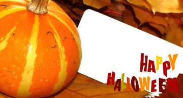 FX №200566 happy halloween invitation card