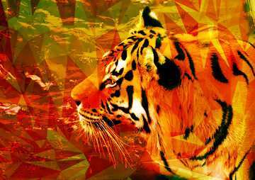 FX №201284 Beautiful tiger Polygon abstract geometrical background with triangles