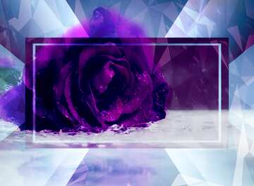 FX №202604 Rose and rain Polygonal abstract geometrical background with triangles