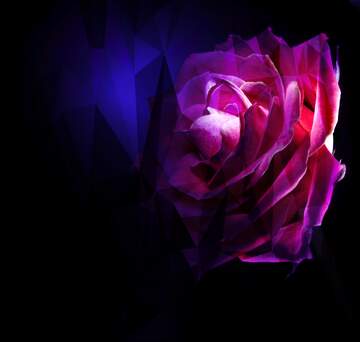FX №203992 Rose flower Dark Polygonal abstract geometrical background with triangles