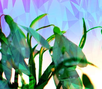 FX №204374 spring Snowdrop Flower Polygonal abstract geometrical background with triangles