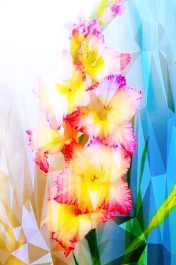 FX №205264 Pink and yellow flowers Polygonal abstract geometrical background with triangles